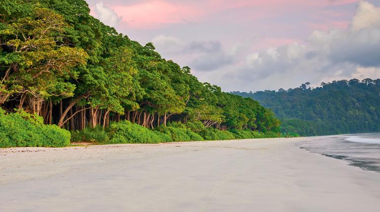 Andaman 5N/6D tour package