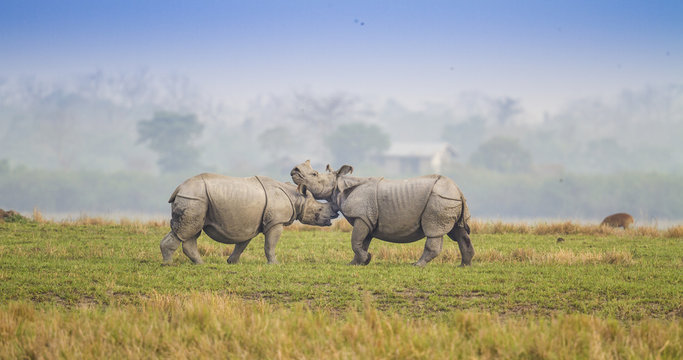 Meghalaya with Kaziranga 5N/6D tour package